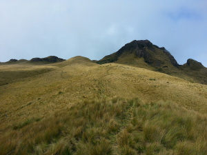 Click to enlarge Ecuador