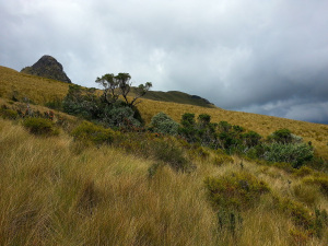 Click to enlarge Ecuador