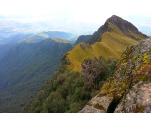 Cotopaxi
